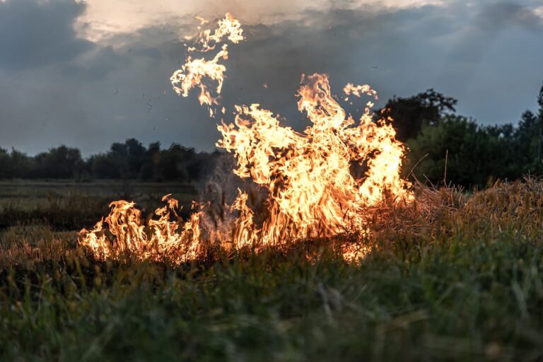 Prevenir incendios está en tu mano